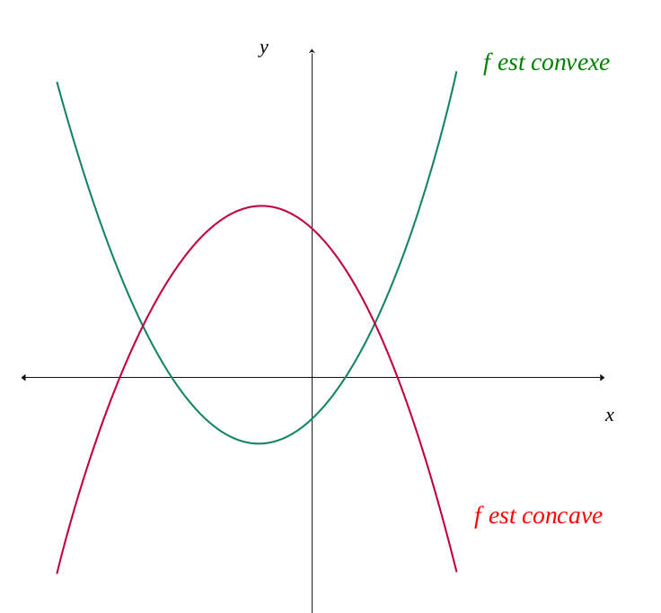 Fonctions concaves et convexes